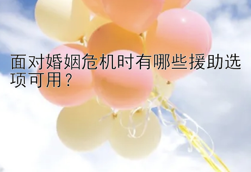 面对婚姻危机时有哪些援助选项可用？