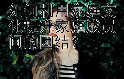 如何利用家庭文化提升家庭成员间的团结？