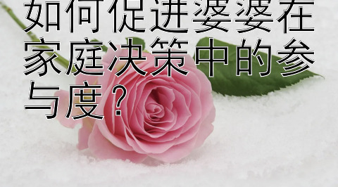 如何促进婆婆在家庭决策中的参与度？