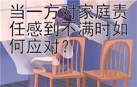 当一方对家庭责任感到不满时如何应对？