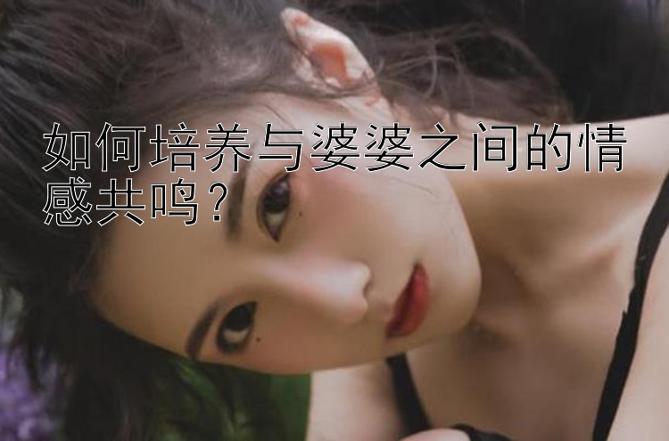 如何培养与婆婆之间的情感共鸣？