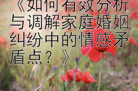 《如何有效分析与调解家庭婚姻纠纷中的情感矛盾点？》