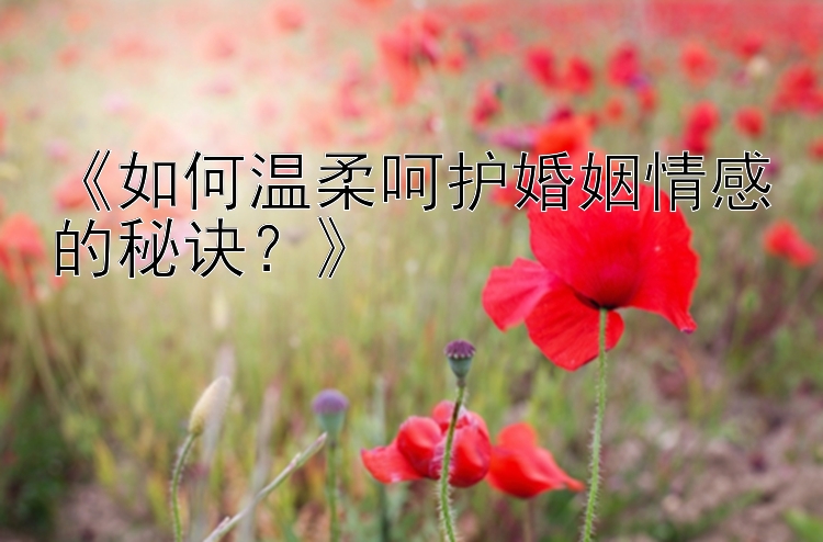 《如何温柔呵护婚姻情感的秘诀？》