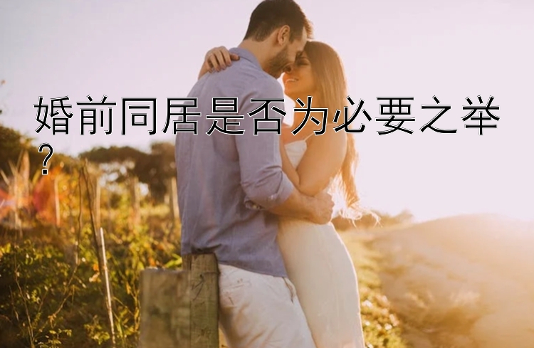 婚前同居是否为必要之举？