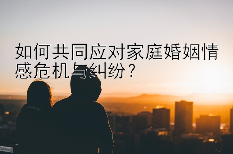 如何共同应对家庭婚姻情感危机与纠纷？