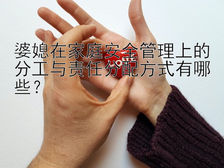 婆媳在家庭安全管理上的分工与责任分配方式有哪些？