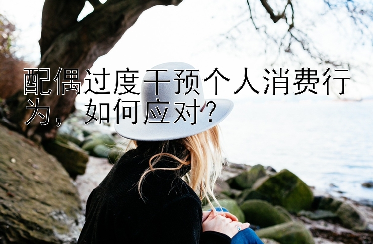 配偶过度干预个人消费行为，如何应对？