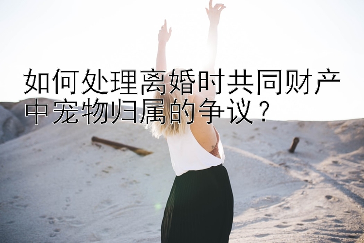 如何处理离婚时共同财产中宠物归属的争议？