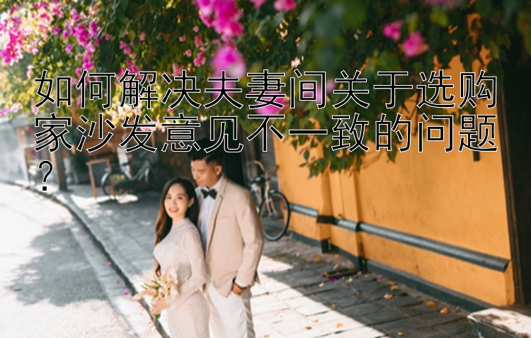 如何解决夫妻间关于选购家沙发意见不一致的问题？