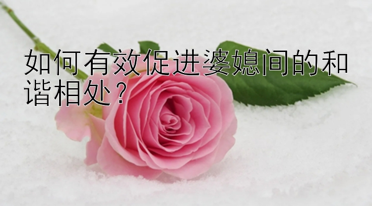 如何有效促进婆媳间的和谐相处？